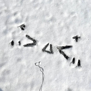 蓝轩宇弄得满床都是牛奶小说
